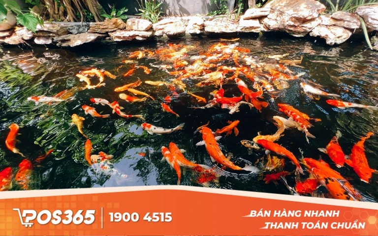 Chi phí nguyên vật liệu