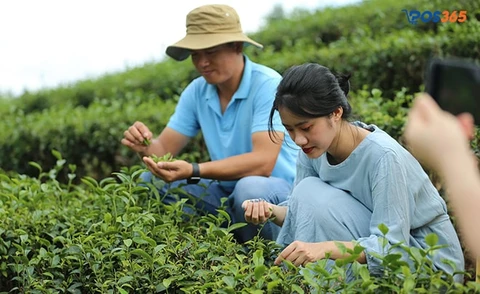 ch&uacute; &yacute; đến đặc điểm ti&ecirc;u d&ugrave;ng của người n&ocirc;ng th&ocirc;n