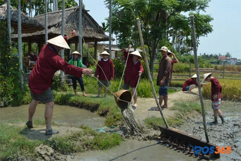 Sản phẩm du lịch đồng qu&ecirc;