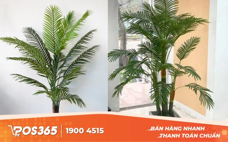 Dừa Cảnh giả