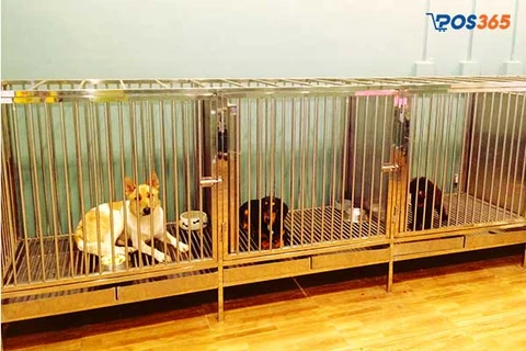 Mở dịch vụ trông giữ thú cưng