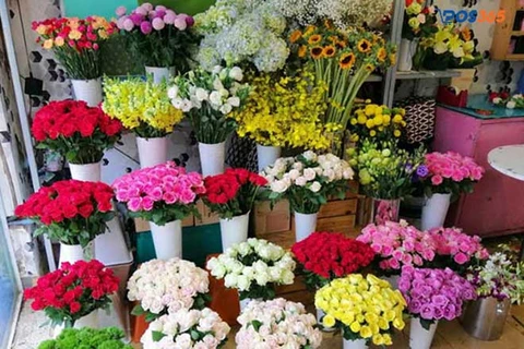 Hướng dẫn c&aacute;ch bảo quản hoa tươi l&acirc;u