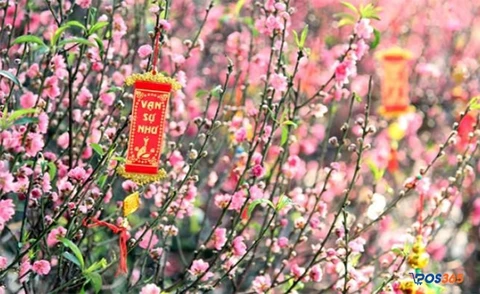 Kinh doanh đồ trang tr&iacute; tết    