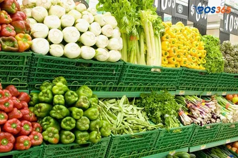 Tiềm năng khi kinh doanh rau củ quả đ&agrave; lạt