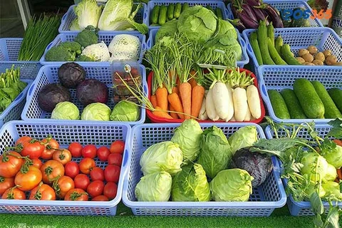 Tiềm năng khi kinh doanh rau củ quả đ&agrave; lạt
