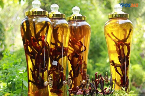 L&yacute; do n&ecirc;n mở cửa h&agrave;ng kinh doanh rượu ng&acirc;m