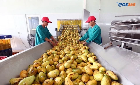 mở xưởng chế biến n&ocirc;ng sản
