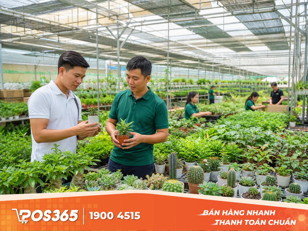 Nguồn cung cây cảnh mini tại miền Nam và Tây Nguyên