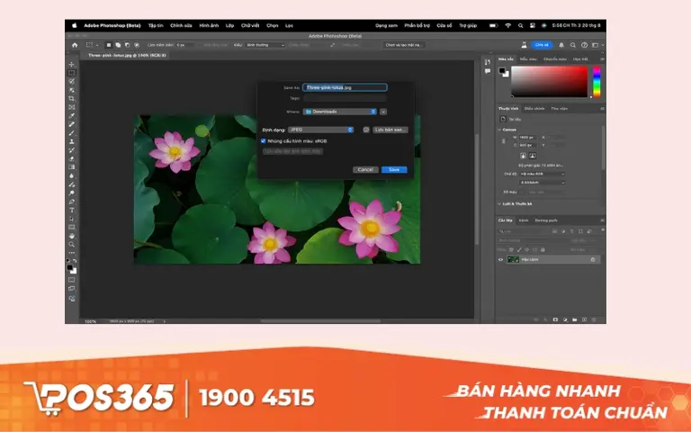 Photoshop - Thiết kế menu nh&agrave; h&agrave;ng chuy&ecirc;n nghiệp