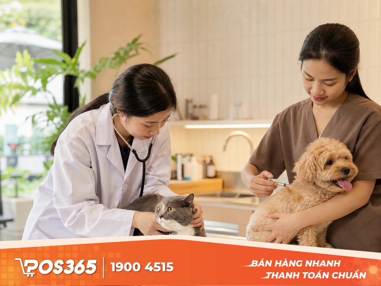 Quy tr&igrave;nh chọn lọc v&agrave; chăm s&oacute;c th&uacute; cưng