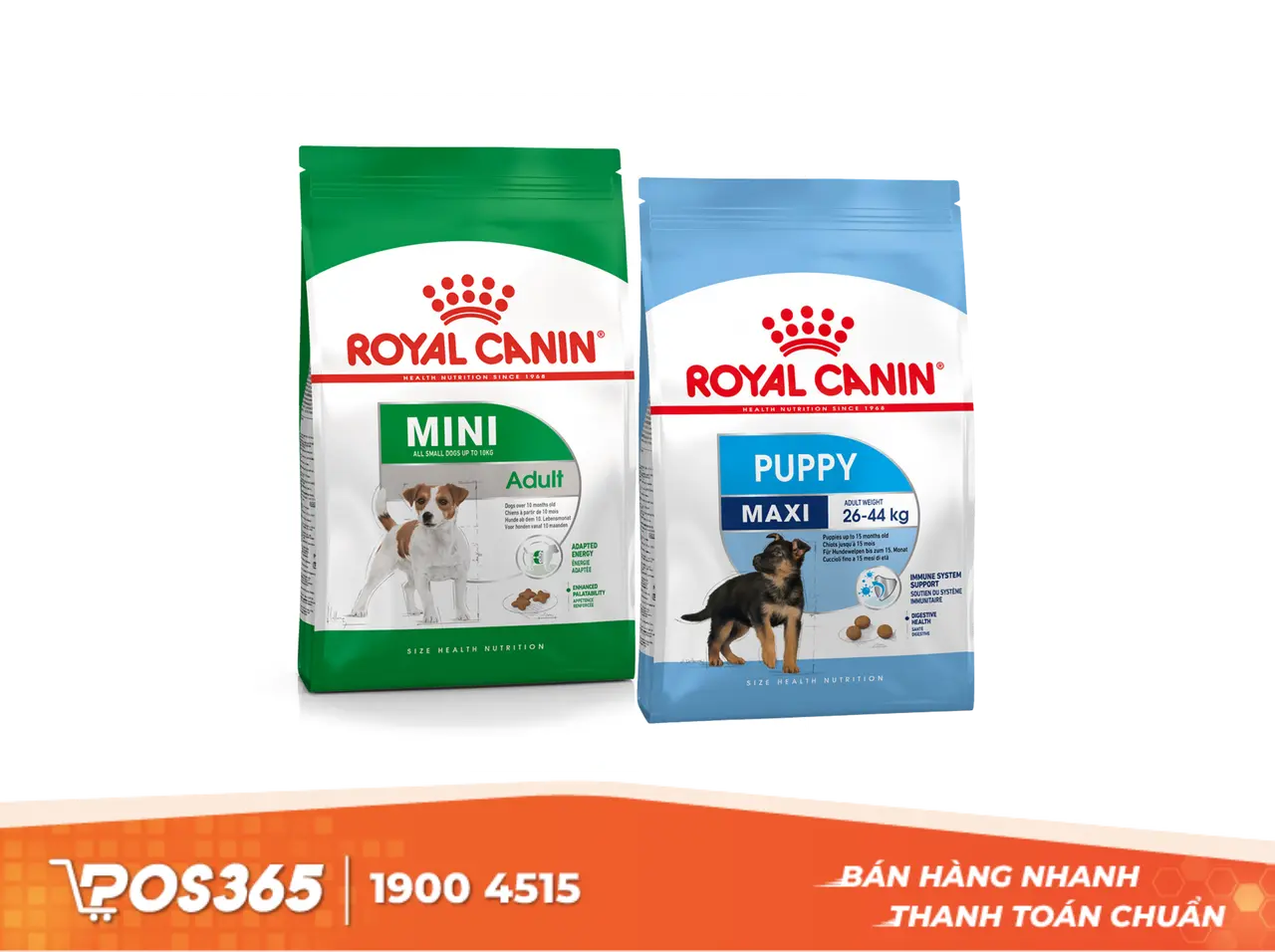 Royal Canin - "Mỏ v&agrave;ng" cho c&aacute;c pet shop chung cư, th&agrave;nh phố lớn