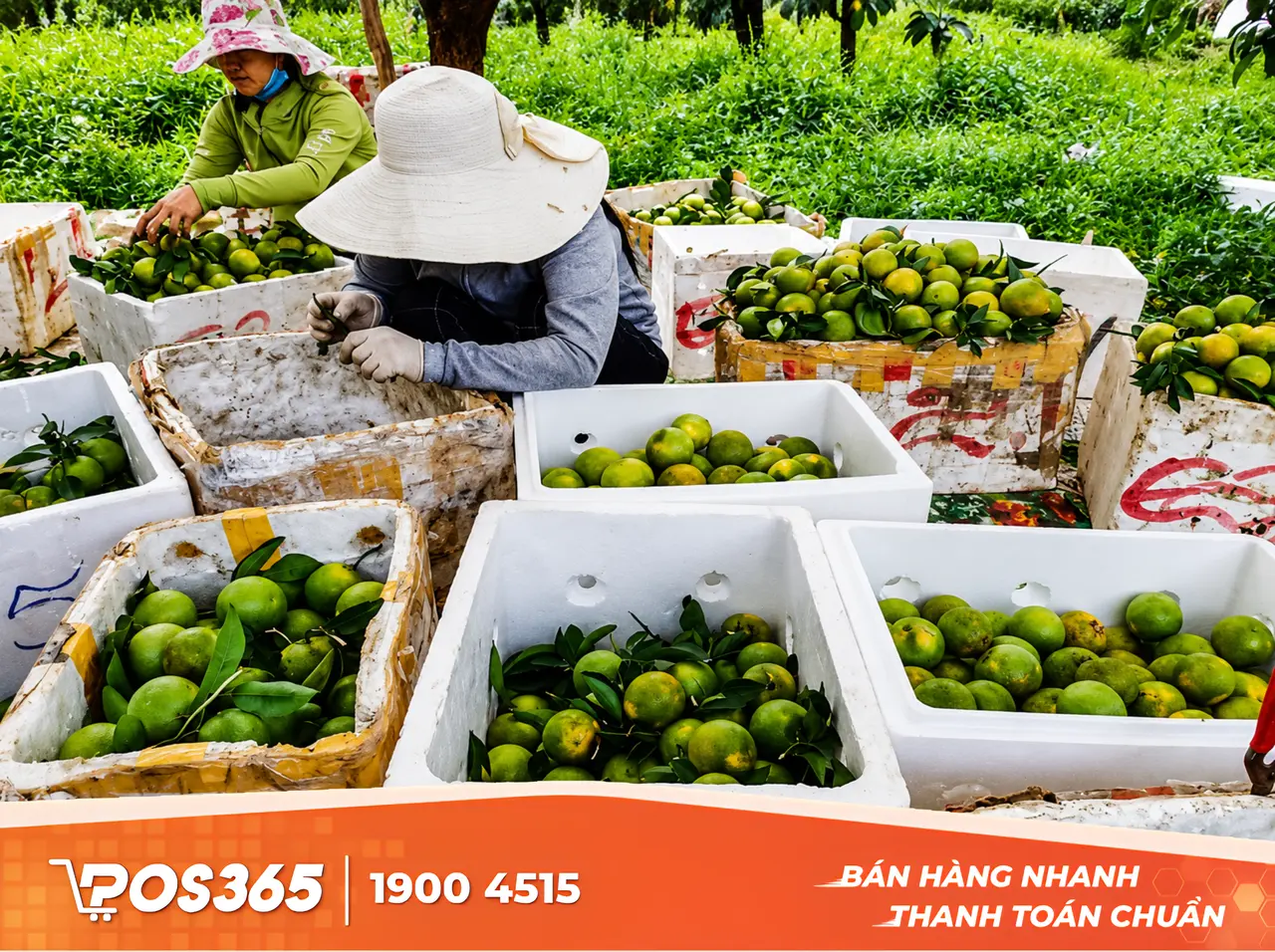 Tuyệt chiêu đóng gói và vận chuyển chống dập nát