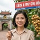 Văn phòng phẩm, Sách