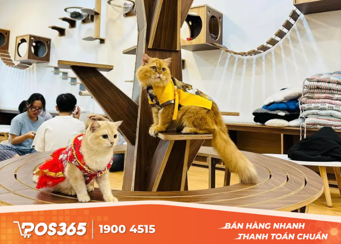 Xu hướng thưởng thức cafe thú cưng tại Biên Hòa