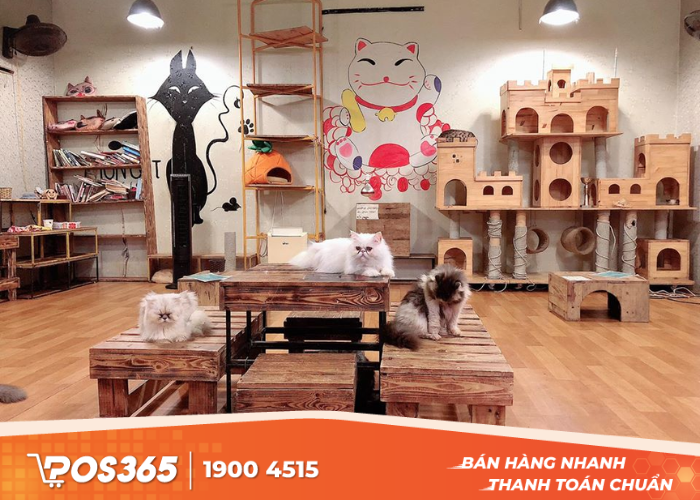 Cách bố trí ánh sáng quán cafe thú cưng
