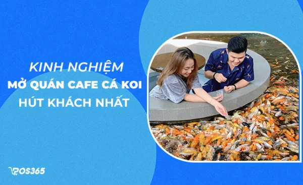 Kinh nghiệm mở quán cafe cá koi hút khách nhất 2025