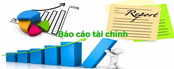 Báo cáo tài chính là gì? Cách đọc báo cáo tài chính chuẩn nhất