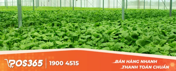 Làm giàu với 10 ý tưởng khởi nghiệp nông nghiệp đột phá nhất 2026