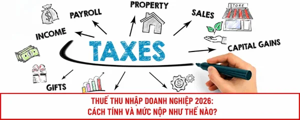 Hướng dẫn cách tính và nộp thuế thu nhập doanh nghiệp chi tiết năm 2026
