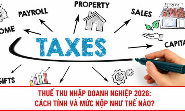 Hướng dẫn cách tính và nộp thuế thu nhập doanh nghiệp chi tiết năm 2026