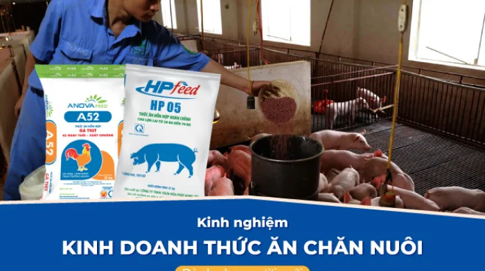 Kinh nghiệm kinh doanh thức ăn chăn nuôi dành cho người mới