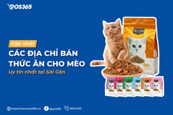 Cập nhật 7 địa chỉ bán thức ăn cho mèo uy tín nhất tại Sài Gòn