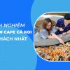 Kinh nghiệm mở quán cafe cá koi hút khách nhất 2022