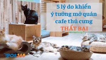 5 lý do khiến ý tưởng mở quán cafe thú cưng thất bại